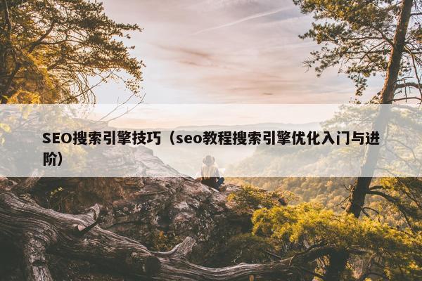 SEO搜索引擎技巧（seo教程搜索引擎优化入门与进阶）