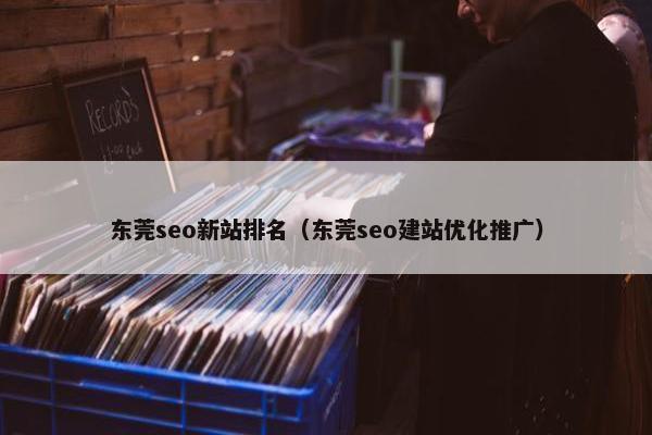 东莞seo新站排名（东莞seo建站优化推广）