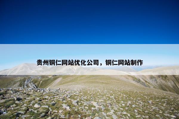 贵州铜仁网站优化公司，铜仁网站制作