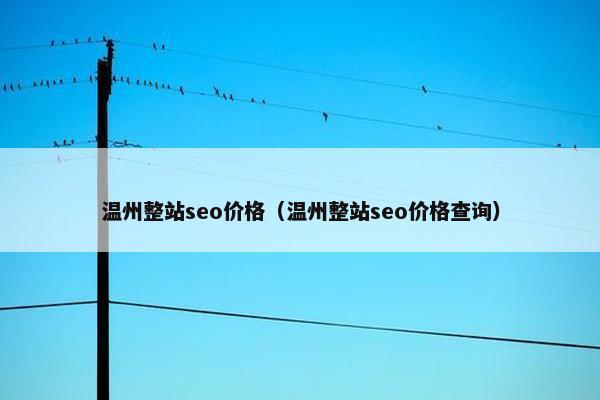温州整站seo价格（温州整站seo价格查询）