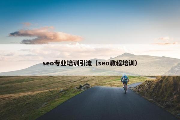 seo专业培训引流（seo教程培训）