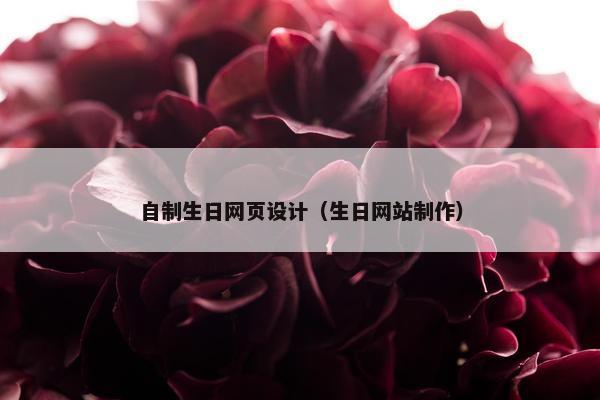 自制生日网页设计（生日网站制作）