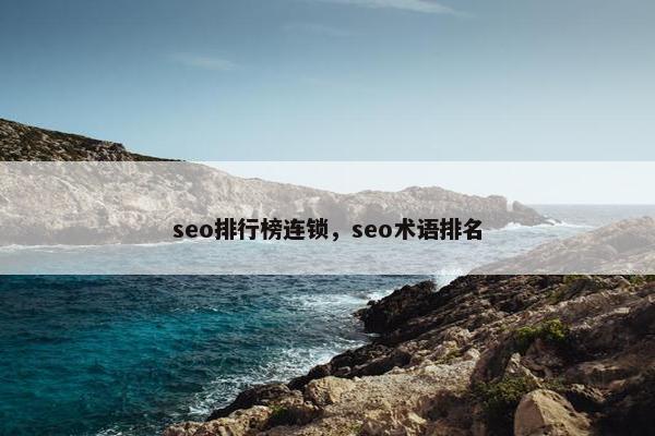 seo排行榜连锁，seo术语排名