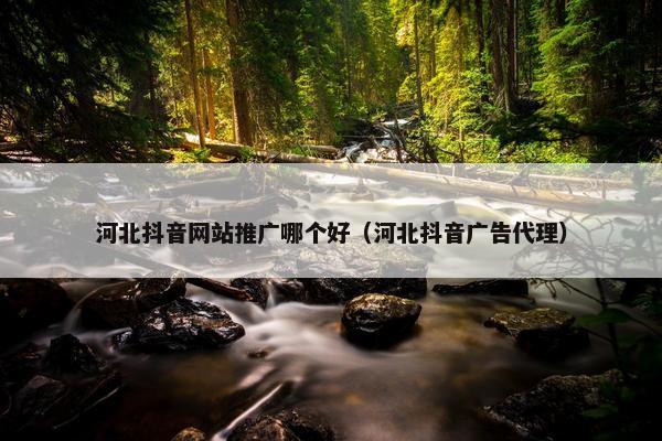 河北抖音网站推广哪个好（河北抖音广告代理）