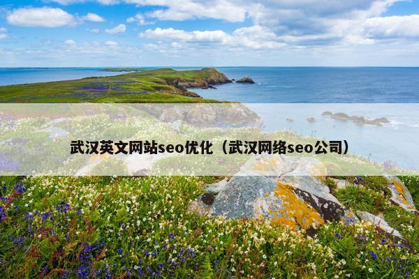 武汉英文网站seo优化（武汉网络seo公司）