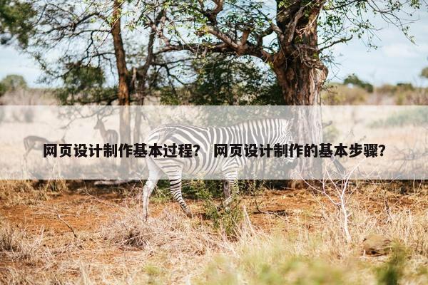 网页设计制作基本过程？ 网页设计制作的基本步骤？