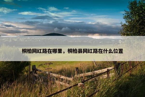 桐柏网红路在哪里，桐柏县网红路在什么位置
