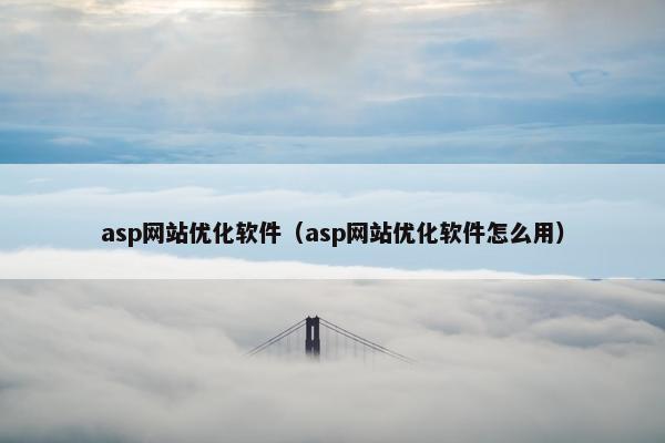 asp网站优化软件（asp网站优化软件怎么用）