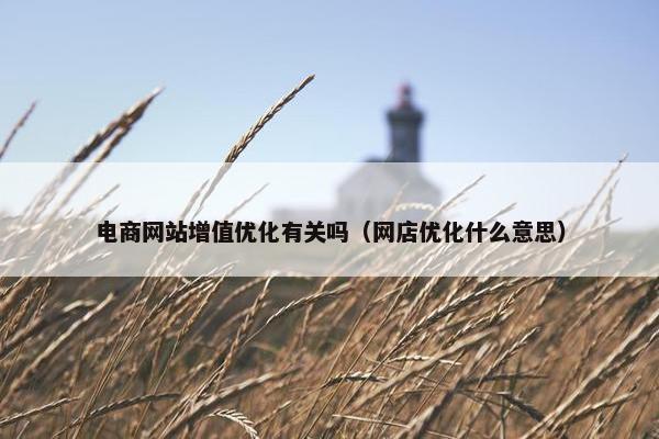 电商网站增值优化有关吗（网店优化什么意思）