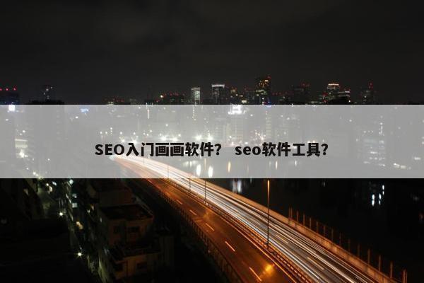 SEO入门画画软件？ seo软件工具？