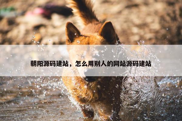 朝阳源码建站，怎么用别人的网站源码建站