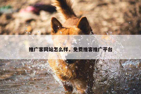 推广客网站怎么样，免费推客推广平台