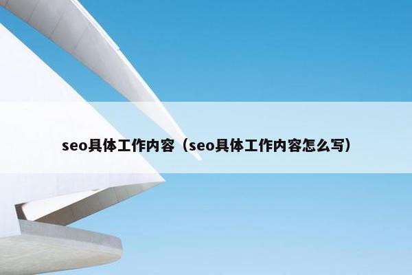 seo具体工作内容（seo具体工作内容怎么写）