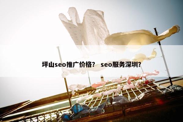 坪山seo推广价格？ seo服务深圳？