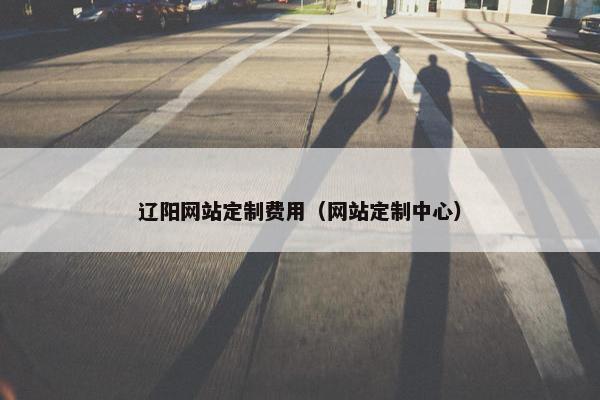 辽阳网站定制费用（网站定制中心）