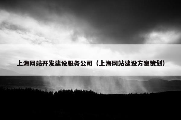 上海网站开发建设服务公司（上海网站建设方案策划）