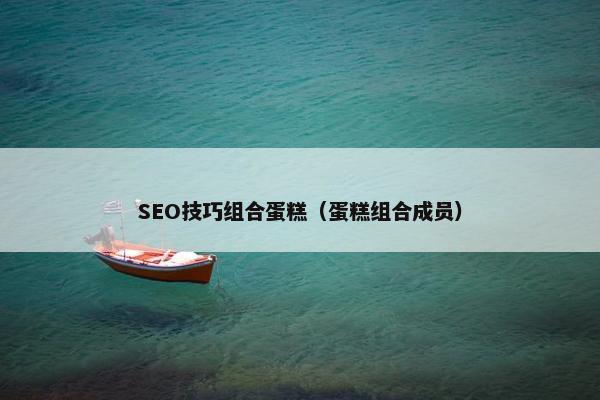 SEO技巧组合蛋糕（蛋糕组合成员）