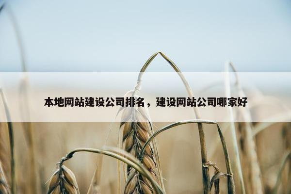 本地网站建设公司排名，建设网站公司哪家好