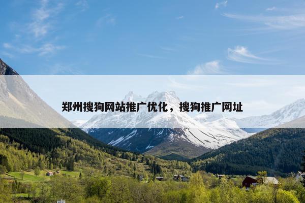 郑州搜狗网站推广优化，搜狗推广网址