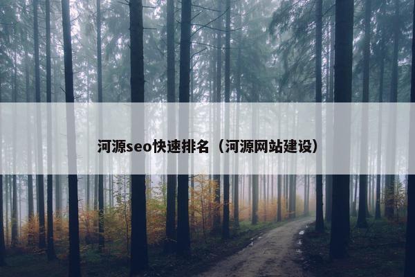 河源seo快速排名（河源网站建设）