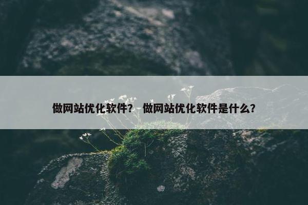 做网站优化软件？ 做网站优化软件是什么？