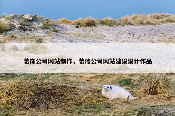 装饰公司网站制作，装修公司网站建设设计作品