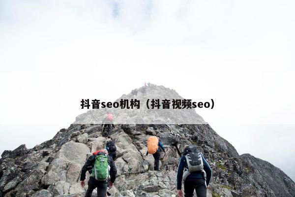 抖音seo机构（抖音视频seo）