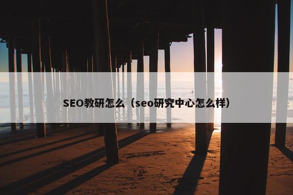 SEO教研怎么（seo研究中心怎么样）