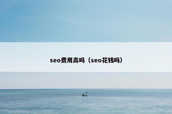 seo费用高吗（seo花钱吗）