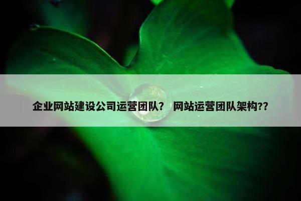 企业网站建设公司运营团队？ 网站运营团队架构?？