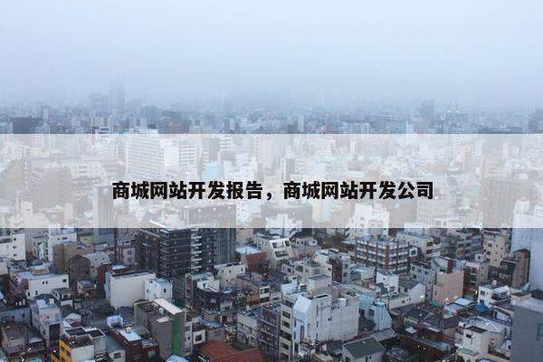 商城网站开发报告，商城网站开发公司
