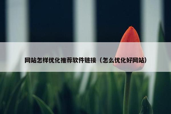 网站怎样优化推荐软件链接（怎么优化好网站）