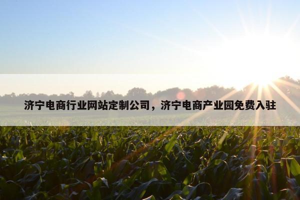 济宁电商行业网站定制公司，济宁电商产业园免费入驻