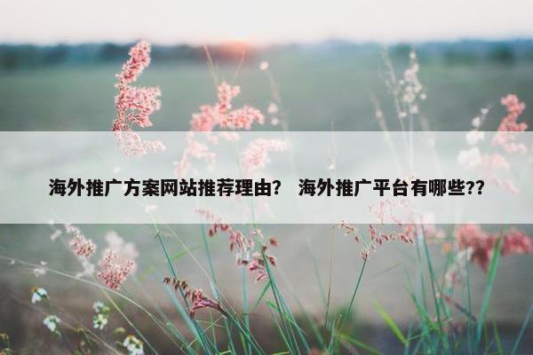 海外推广方案网站推荐理由？ 海外推广平台有哪些?？