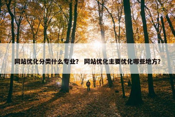 网站优化分类什么专业？ 网站优化主要优化哪些地方？