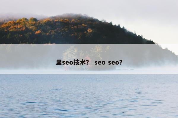 里seo技术？ seo seo？