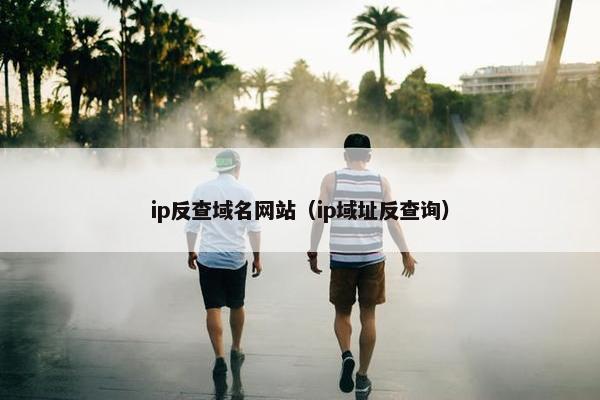 ip反查域名网站（ip域址反查询）