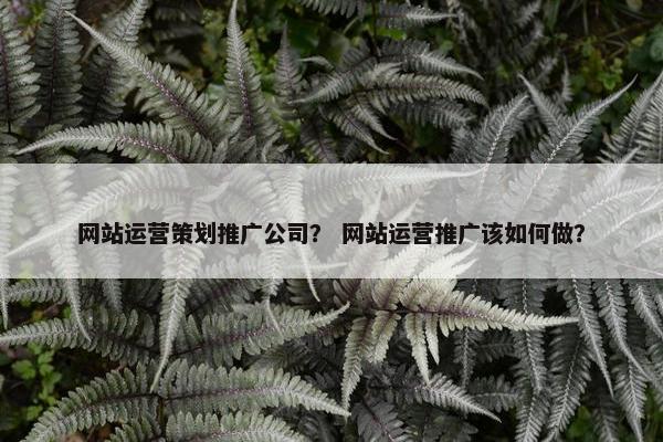 网站运营策划推广公司？ 网站运营推广该如何做？