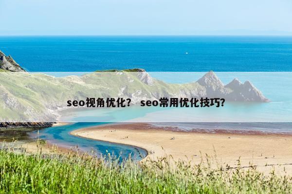 seo视角优化？ seo常用优化技巧？