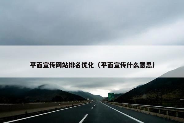 平面宣传网站排名优化（平面宣传什么意思）