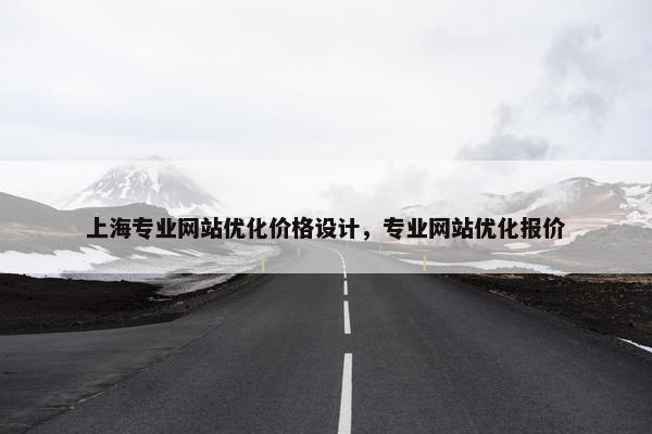 上海专业网站优化价格设计，专业网站优化报价
