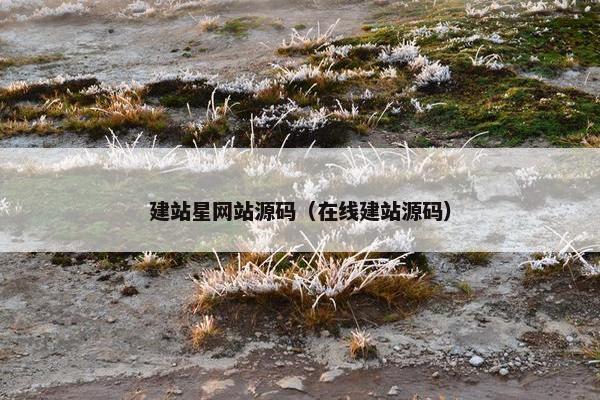 建站星网站源码（在线建站源码）