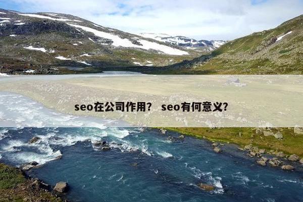 seo在公司作用？ seo有何意义？