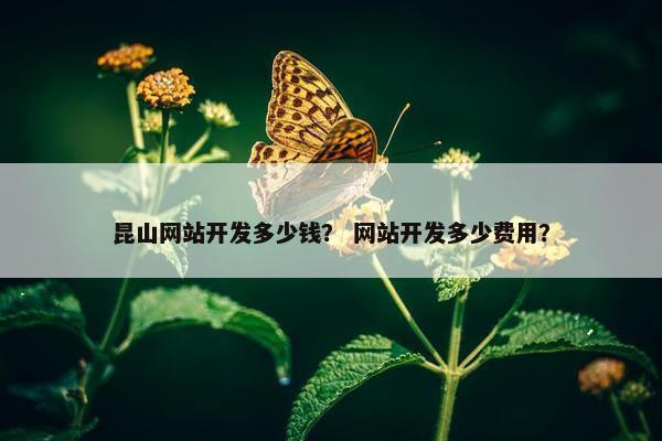 昆山网站开发多少钱？ 网站开发多少费用？