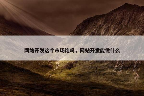 网站开发这个市场饱吗，网站开发能做什么