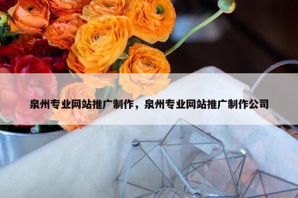 泉州专业网站推广制作，泉州专业网站推广制作公司