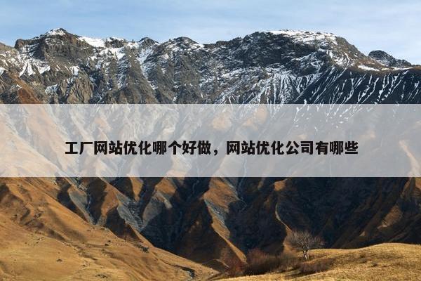 工厂网站优化哪个好做，网站优化公司有哪些
