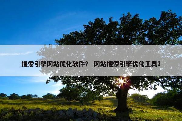 搜索引擎网站优化软件？ 网站搜索引擎优化工具？
