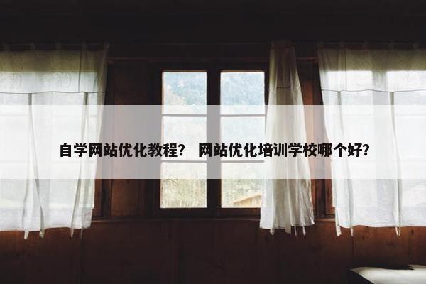 自学网站优化教程？ 网站优化培训学校哪个好？