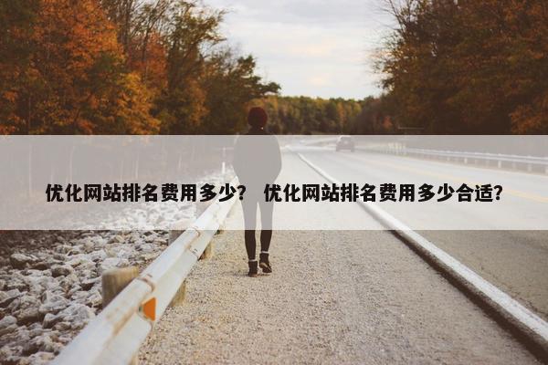 优化网站排名费用多少？ 优化网站排名费用多少合适？
